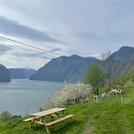 Aurland Stegastein Apartment Exterior photo