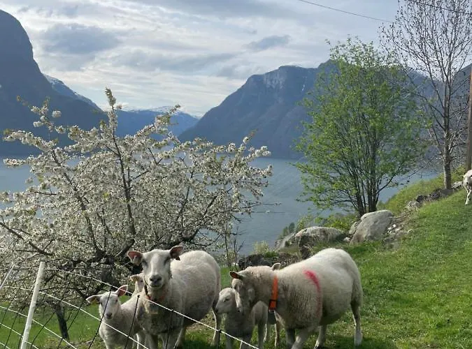 Aurland Stegastein Apartment