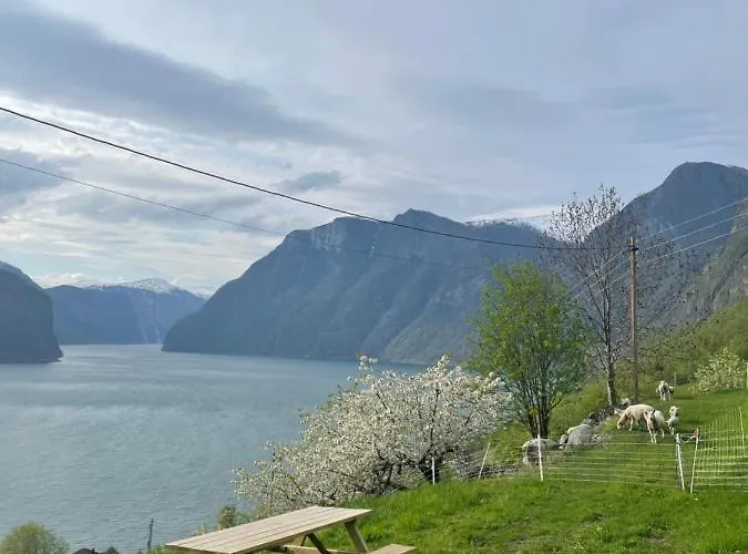 Aurland Stegastein Apartment