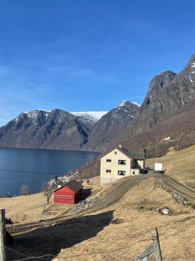 Stegastein