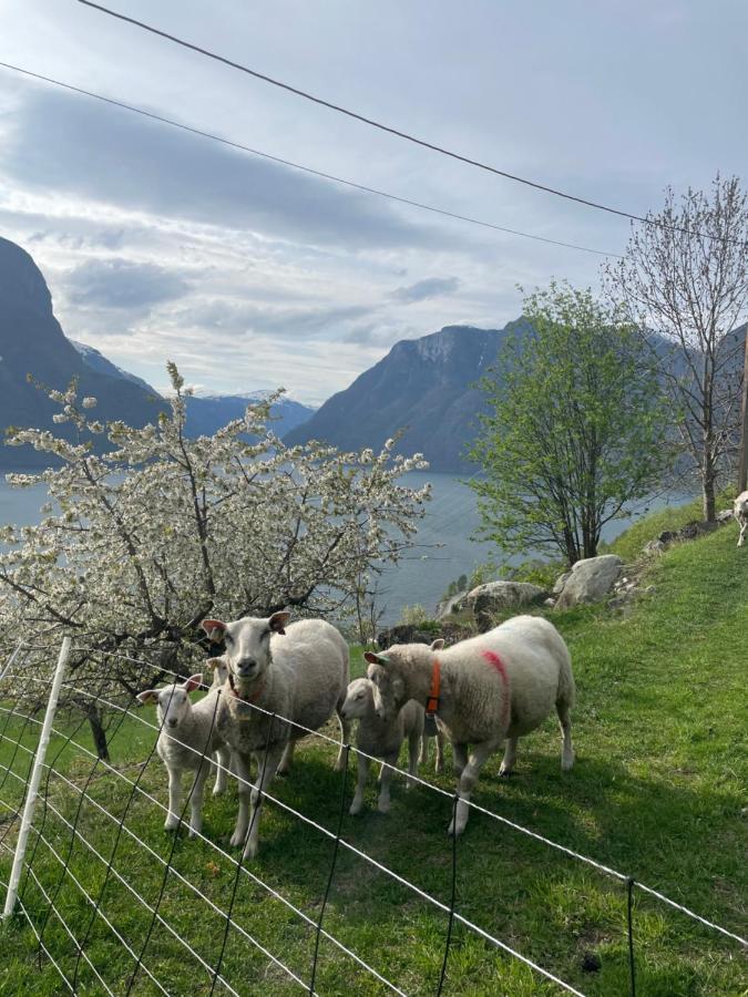 Stegastein Aurland