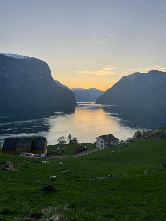 Apartment Stegastein Aurland